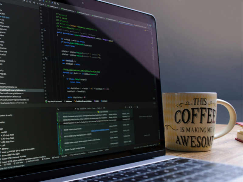 Professional Web Development