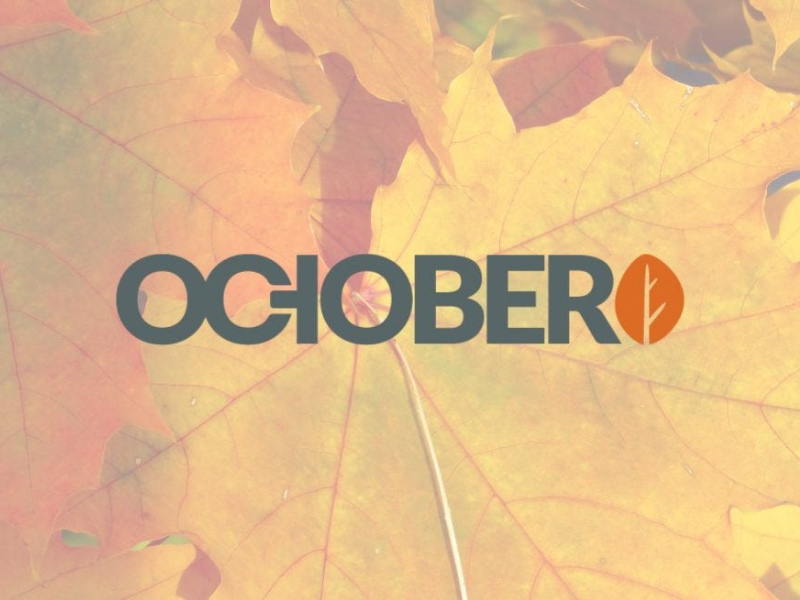 October CMS Specialist